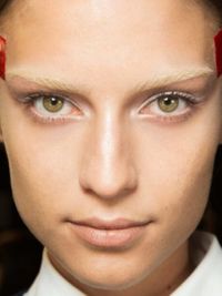 brows trends