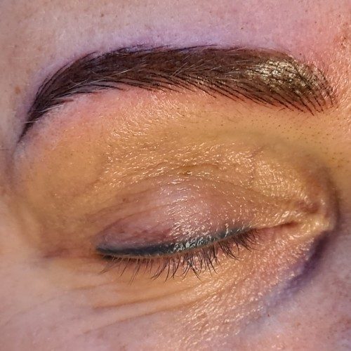 PMU Hyperrealisme Hairstroke wenkrbauwen